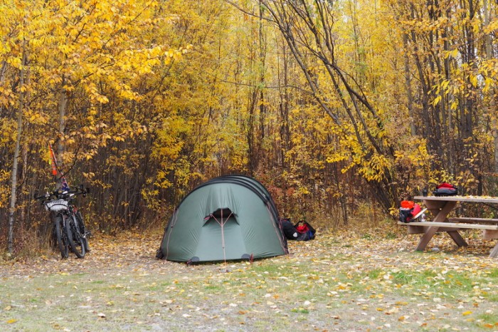 Canada 18 - Our campsite in Beaver Creek