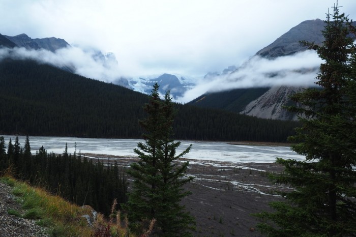 Canada 266 - Driving along the Icefields Parkway