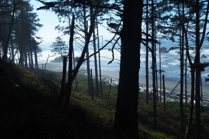 Olympic Peninsula, Washington State - Ruby Beach