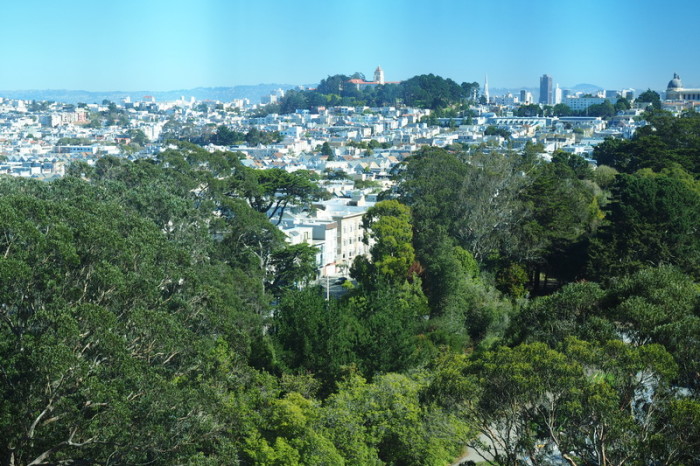 San Francisco - Views of San Francisco from De Young Museum