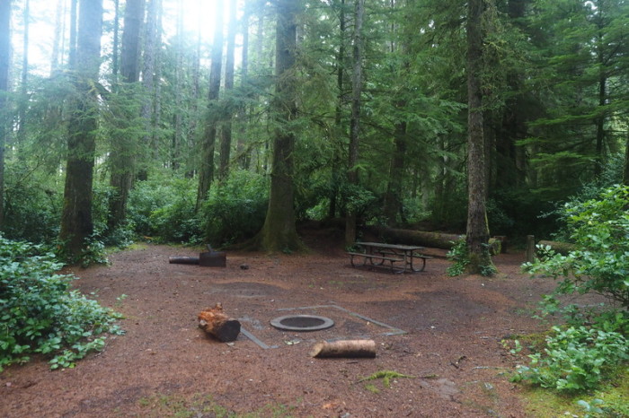 Portland to San Francisco - Our hike/bike campsite at Honeyman State Park, Oregon