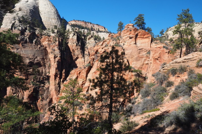 USA Road Trip - Views from the West Rim Trail, Zion National Park, Utah