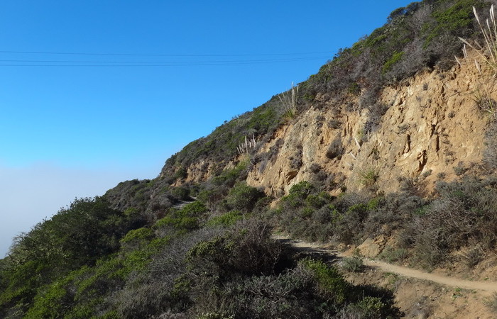 SF to LA 3 - Old Pedro Mountain Trail