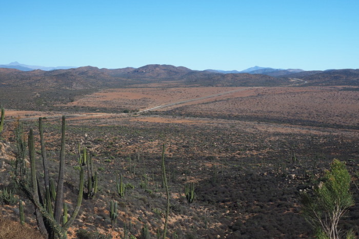 Baja California - Views of cacti on Day 1 of our Central Desert crossing