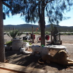 Lunch stop on Day 1 of our Central Desert crossing