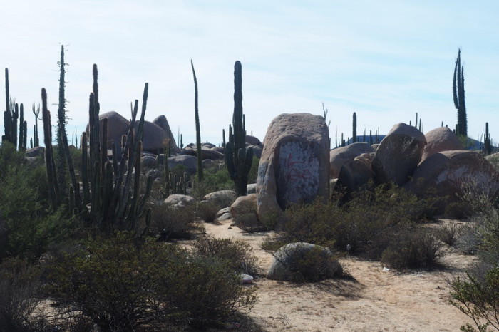 Baja California - More shrines to the Lady of Guadalupe (Senora de Guadalupe)