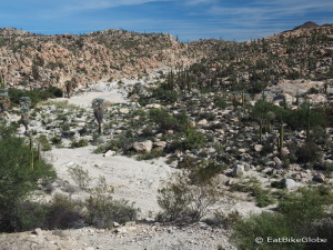 Dry river bed near the Cataviña Boulder Field on Day 2 of our Central Desert crossing