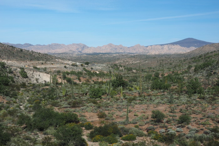 Baja California - Beautiful desert views on Day 2 of our Central Desert crossing