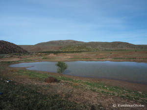 We didn't expect to find a lake in the Central Desert!