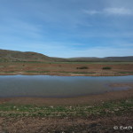 We didn't expect to find a lake in the Central Desert!