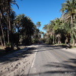 Cycling into San Ignacio