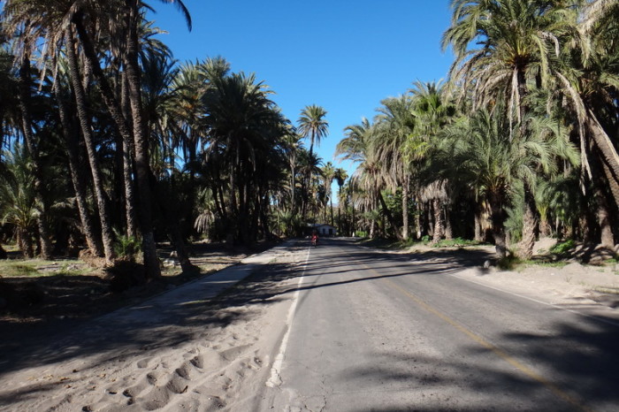 Baja California - Cycling into San Ignacio