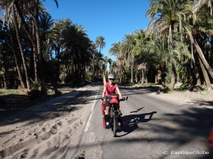 Cycling into San Ignacio along palm lined streets