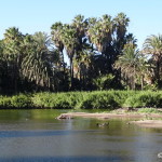 The lagoon at San Ignacio