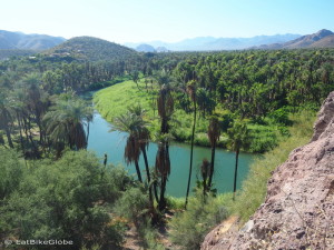 Views over leafy Mulege from Mision Santa Rosalia de Mulege