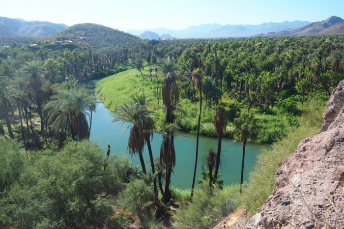 Baja California - Views over leafy Mulege from Mision Santa Rosalia de Mulege