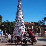 Christmas tree in the Loreto town square