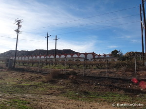 One of the many wineries in the Guadalupe Valley