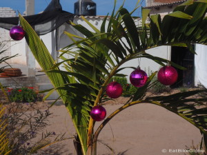 Our "palm tree" Christmas tree in Ciudad Insurgentes