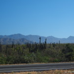 On the road to Cabo San Lucas