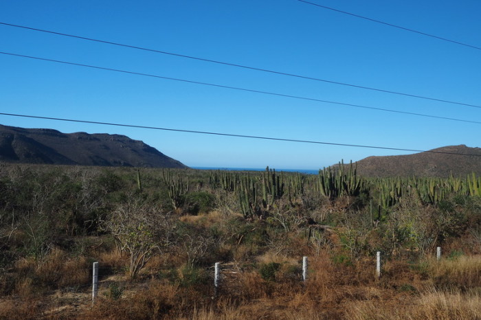 Baja California - On the road to Cabo San Lucas