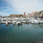 The harbour, Cabo San Lucas