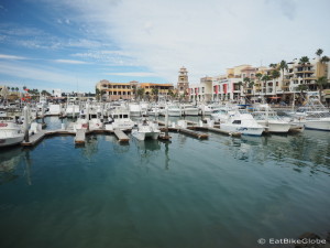 The harbour, Cabo San Lucas