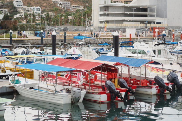Baja California - Boats in the harbour, Cabo San Lucas