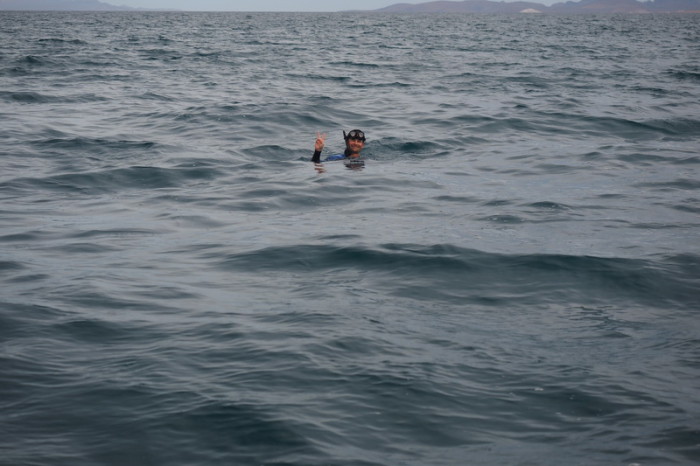 Baja California - David swimming with the whale sharks near La Paz