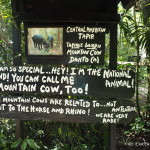 An example of some of the cool signs at the Belize Zoo!