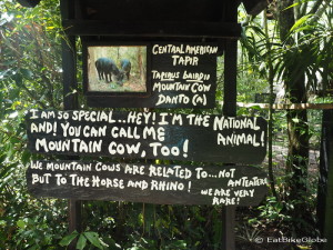 An example of some of the cool signs at the Belize Zoo!