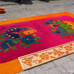 A particularly beautiful sawdust carpet, Flores, Guatemala
