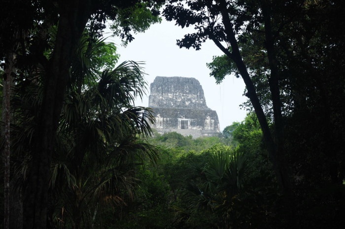 Guatemala - Tikal Temple IV, Tikal, Guatemala 