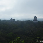 View from Tikal Temple IV, Tikal, Guatemala