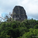 Beautiful Tikal, Guatemala