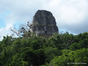 Beautiful Tikal, Guatemala