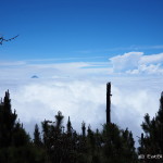 The view from lunch - finally above the clouds!  Volcano Acatenango, Guatemala