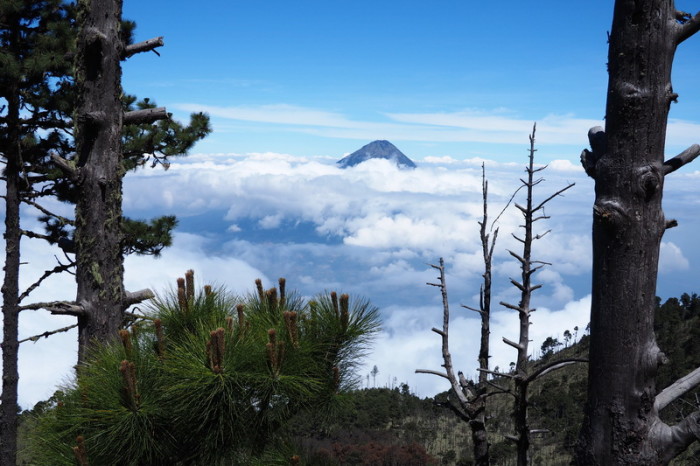 Guatemala - Enjoying stunning views of  Volcano de Agua on our way to base camp.