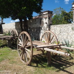 Old carts, Hacienda Yaxcopoil, Yucatan, Mexico