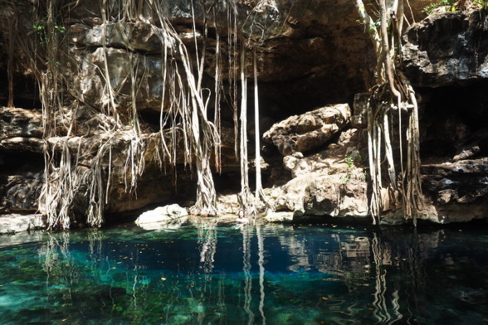 OLYMPUS DIGITAL CAMERA - Cenote X-Batun, San Antonio Mulix, Yucatan, Mexico