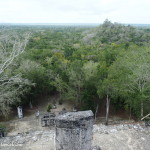 Views out over the Calakmul Biosphere from one of the pyramids, Calakmul, Campeche, Mexico