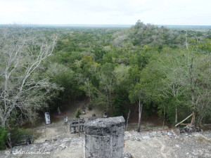 Views out over the Calakmul Biosphere from one of the pyramids, Calakmul, Campeche, Mexico