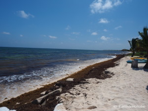 The beach at Mayan Beach Garden, near Mahahual, Quintana Roo, Mexico