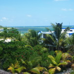 The view from the roof above our villa! Mayan Beach Garden, near Mahahual, Quintana Roo, Mexico