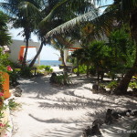 The beautiful Mayan Beach Garden, near Mahahual, Quintana Roo, Mexico