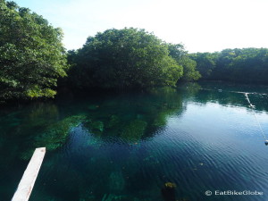 This cenote is a well-kept local secret! It forms part of a ruined hotel complex and it was free for us to visit and swim here! Quintana Roo, Mexico