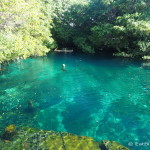 The beautiful "free" cenote! Quintana Roo, Mexico
