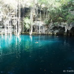 Swimming in the magical Yokdzonot Cenote, Yokdzonot, Yucatan, Mexico