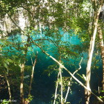 One of our favourites, Yokdzonot Cenote, Yokdzonot, Yucatan, Mexico