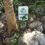 The Yokdzonot Cenote & Ecological Park also has camping! Yokdzonot, Yucatan, Mexico
